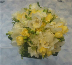 Cymidium orchid and freesia bridal tie posy